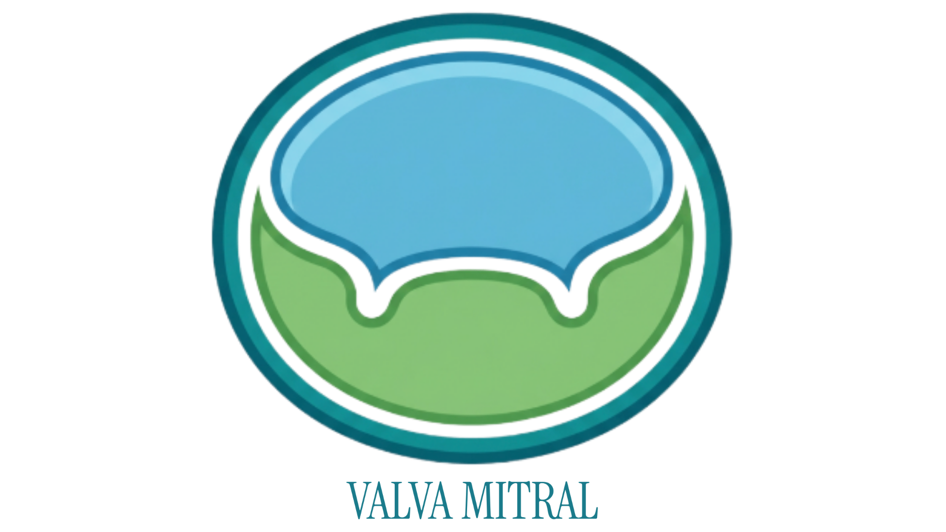 Valva Mitral