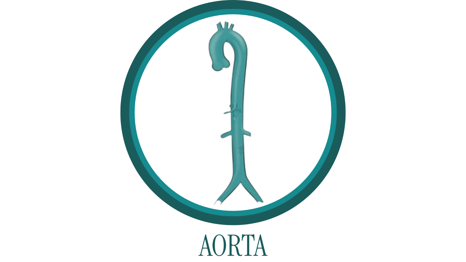 Cirurgia da Aorta